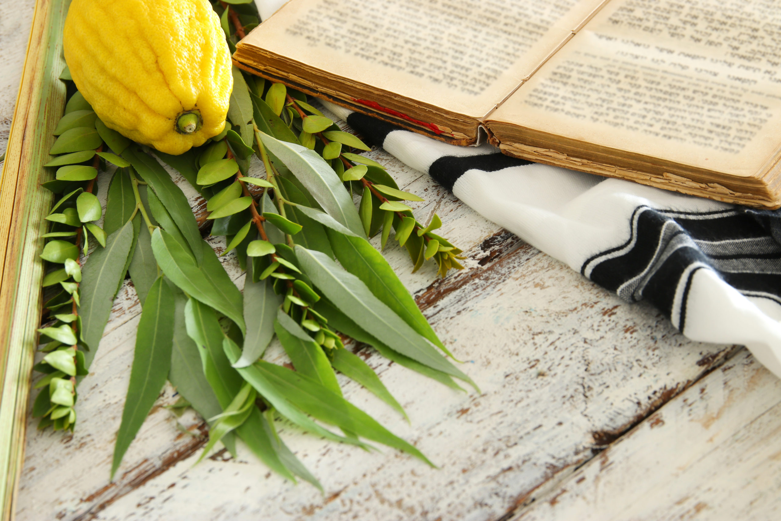 Sukkot 5783