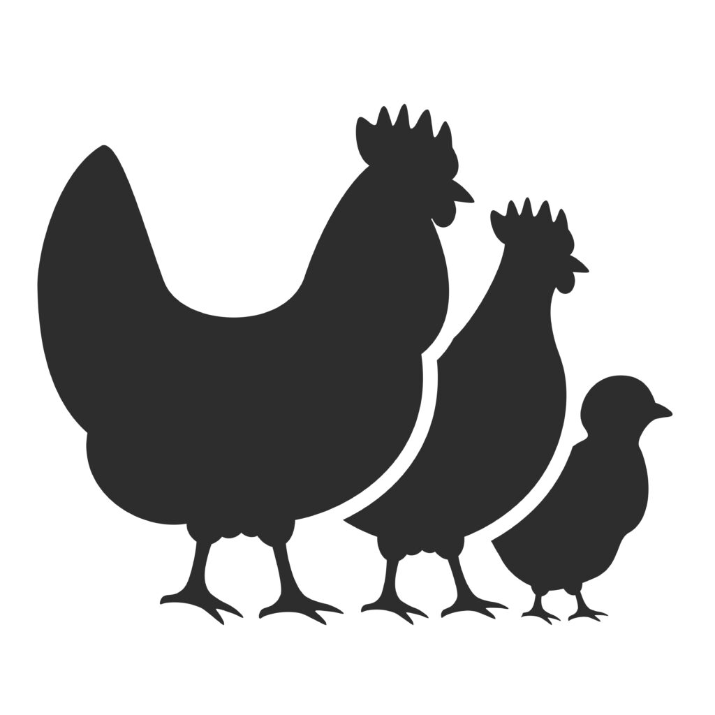 Count Your Chickens
